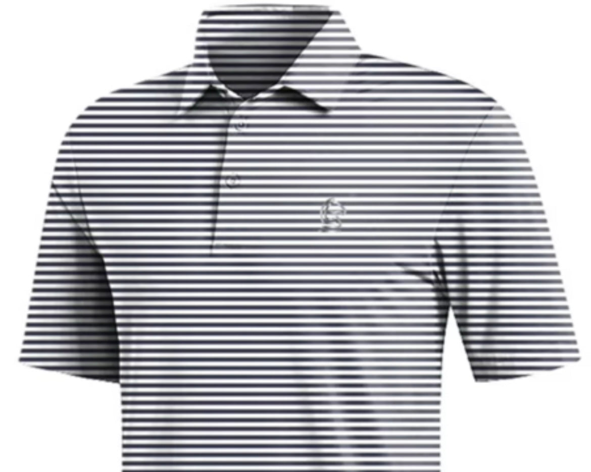 Striped Polo T-Shirt